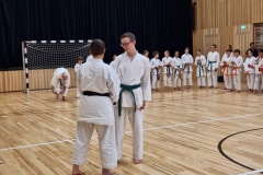 Screenshot_20260201_130331_Gallery