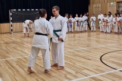 Screenshot_20260201_130356_Gallery