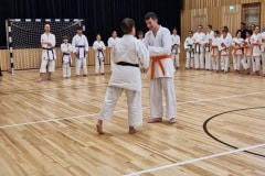 Screenshot_20260201_130416_Gallery