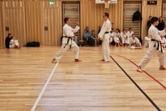 Screenshot_20260201_130648_Gallery