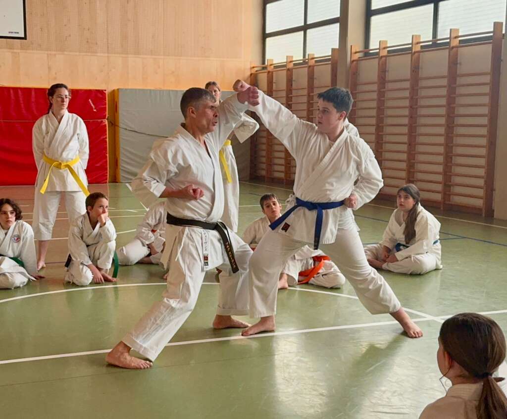 Sensei Stevens zeigt Age-Uke mit einem Schüler vor der Gruppe vor.