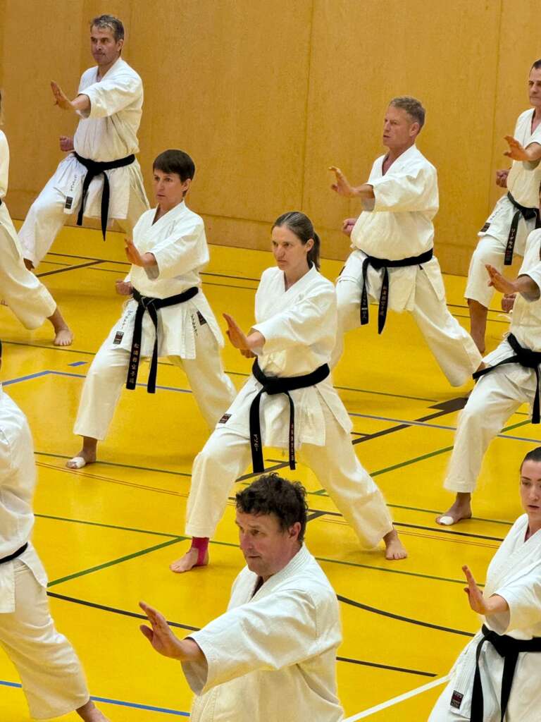 Eine Gruppe Karatekas führt Gyaku Tate-Shute Uchi aus.